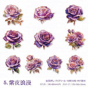 o  ؂₩ 傫 KN [Y Ԃт ԕ CXgV[ NAV[ R[Wf  ϐ PET  XNbvubLO o 10 PET ϐ  zCg  