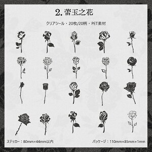 o  [X V[ NAV[ ubN 傫 R[Wf [Y  ԕ KN   V[ g t[V[ PETV[ ϐ R[W f [XV[ C