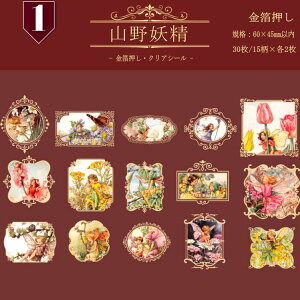 COV[  g X̗d b l t[NV[ R[W f WNW[i 蒠 fR f ϐ  V[ p ؎ X^v ̎q j̎q NA PET 蒠 