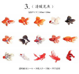 o COV[  g{   t[NV[ _CJbg  ϐ V[ COXebJ[ 30 NA V[ PETf R[W f WNW[i 蒠fR fR[V