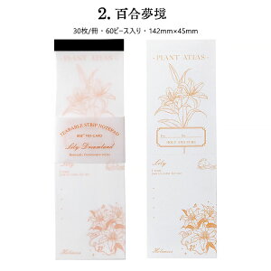 o COR[Wf   wi c fUCy[p[ fގ fރy[p[ 3060s[X ~Vڕt ԕ t[ R[W f pbh    `