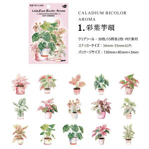 o ϗtA NAV[ R[Wf V[  N ǂ ϗt A A ϏܐA A CXg V[ 3015 R[W f V[ PET  ϐ  O[ 