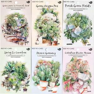 o ϗtA NAV[ R[Wf V[  N ǂ ϗt A A ϏܐA A CXg V[180 30 R[W f V[ PET  ϐ  O[