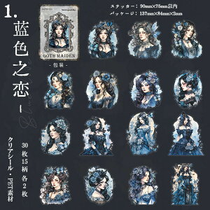 o lV[ NAV[ 傫 SVbN SX CXg V[ X`[pN LN^[ XebJ[ R[Wf l V[ 30 PET V[ ϐ  ̎q O