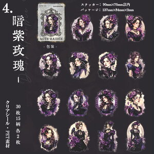 o lV[ NAV[ 傫 SVbN SX CXg V[ X`[pN LN^[ XebJ[ R[Wf l V[ 30 PET V[ ϐ  ̎q O