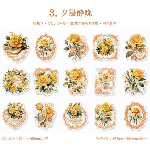 o NAV[  [X [Y p V[ R[Wf V[ [X ԕ  g t[  KN AWTC  p ؎ XebJ[ 30 R[W f ub