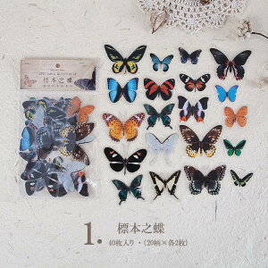 o COV[ V[  t[NV[  V[ X o^tC NAV[ 40 PET NA ϐ _CJbg V[ WNW[i 蒠fR R[W f fR