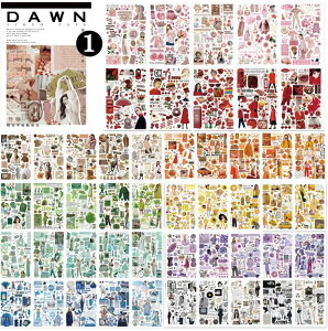 [ V[ubN 50/ Ⴂ1000ȏ e ȃXy[X 傫 }Xe XebJ[ubN 50 V[V[g R[Wf lV[ G G  O l  j a