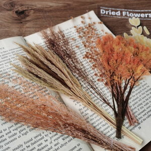 o NAV[ [WTCY R[Wf  [Y KN hCt[  t  V_ A ԕ CXgV[ 傫 PETV[ _CJbg ϐ t[