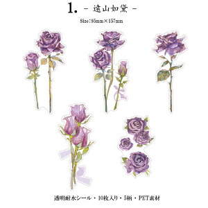 o V[ 傫  t[ t[NV[ COV[ R[W f Zbg XebJ[ NA PET ϐ WNW[i fRV[ fR[V F̉ [Y K