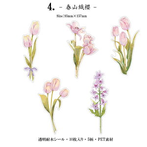 o V[ 傫  t[ t[NV[ COV[ R[W f Zbg XebJ[ NA PET ϐ WNW[i fRV[ fR[V F̉ [Y K