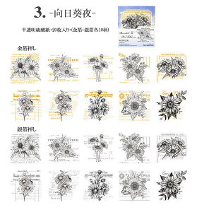 o _ V[ ┓  傫 R[W f  t[NV[ COV[  t[ fR[V  g[VOy[p[ gy f COXebJ[ 