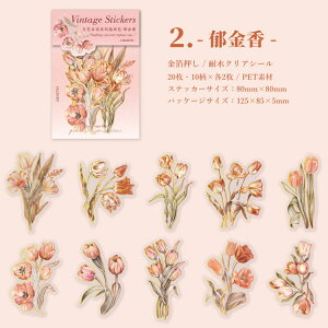 o  NAV[ COXebJ[ ؂₩ 傫 20 t[NV[  R[W f Zbg XNbvubLO PETf KN [Y O  S z  ϐ A