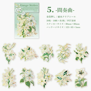 o  NAV[ COXebJ[ ؂₩ 傫 20 t[NV[  R[W f Zbg XNbvubLO PETf KN [Y O  S z  ϐ A