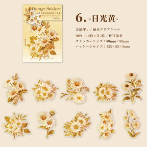 o  NAV[ COXebJ[ ؂₩ 傫 20 t[NV[  R[W f Zbg XNbvubLO PETf KN [Y O  S z  ϐ A