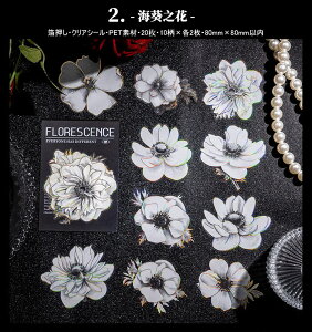 o I[ Ԃт 傫 ؂₩ PET ϐ V[ i R[Wf [Y KN O  S z [WTCY NAV[ R[W f 20 V[ ϐ A