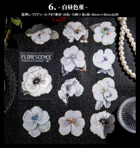 o I[ Ԃт 傫 ؂₩ PET ϐ V[ i R[Wf [Y KN O  S z [WTCY NAV[ R[W f 20 V[ ϐ A