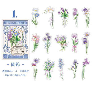 o V[ 傫  t[ t[NV[ COV[ R[W f Zbg XebJ[ NA PET ϐ WNW[i fRV[ fR[V F̉ [