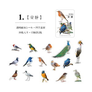 o V[ COXebJ[ N₩ M  CXg V[ PETf ϐ CXgXebJ[ R[Wf Zbg WNW[i fR[V f 蒠fR PET _CJ