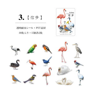 o V[ COXebJ[ N₩ M  CXg V[ PETf ϐ CXgXebJ[ R[Wf Zbg WNW[i fR[V f 蒠fR PET _CJ