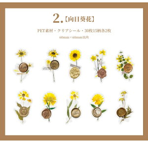 o V[ V[O bNX X^v  t[ t[NV[ COXebJ[ R[Wf g 낤 X 30 re[W AeB[N 蒠 COV[ NAV