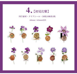 o V[ V[O bNX X^v  t[ t[NV[ COXebJ[ R[Wf g 낤 X 30 re[W AeB[N 蒠 COV[ NAV