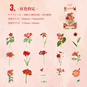 o NAV[ 傫 R[W f t[NV[  ԕ t[ [Y e XebJ[ COV[ V[ _CJbg fR[V PET 蒠V[ WNW[i