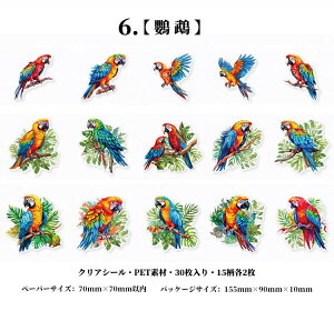 o COXebJ[  ԕ NAV[ R[W f Zbg 30 V[ N₩ XNbvubLO PETf ϐ t~S Mђ  CR IjIInV n`h 