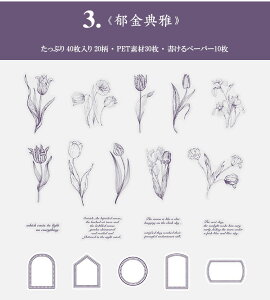 o COXebJ[  [Y KN t V[ 40 R[W f t[NV[ Zbg NAV[ PET WNW[i 蒠 fR fR[V A t[ 