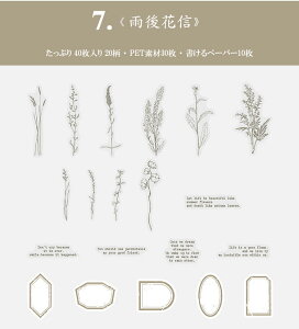 o COXebJ[  [Y KN t V[ 40 R[W f t[NV[ Zbg NAV[ PET WNW[i 蒠 fR fR[V A t[ 