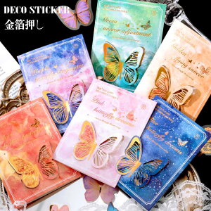 o   t[NV[ 40 z o^tC NAV[ R[Wf Zbg e  PET ϐ V[ V[ V[ WNW[i fR