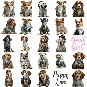 [   XebJ[  am V[ 킢 50 傫 CXgXebJ[ X|[c R[M[ _bNX nXL[ pO LoA LN^[ XebJ[ R[W 