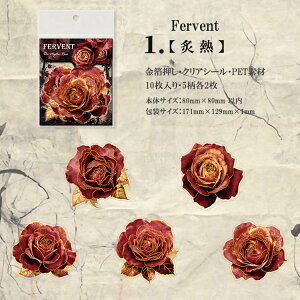 o  COXebJ[ ؂₩ 傫 KN [Y o ԕ R[W f Zbg XNbvubLO AeB[N g 10 PET ϐ _      NAV[ 