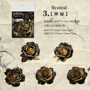 o  COXebJ[ ؂₩ 傫 KN [Y o ԕ R[W f Zbg XNbvubLO AeB[N g 10 PET ϐ _      NAV[ 