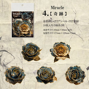 o  COXebJ[ ؂₩ 傫 KN [Y o ԕ R[W f Zbg XNbvubLO AeB[N g 10 PET ϐ _      NAV[ 