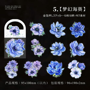 o  COXebJ[ ؂₩ 傫 ԕ R[W f Zbg XNbvubLO KN [Y o KN ݂ {^ O S  10 PET ϐ _    NA