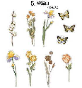 o NAV[ 傫 R[W f V[t[NV[ _CJbg ϐ V[ hCt[ 10 NA PET WNW[i fR[V COXebJ[  A