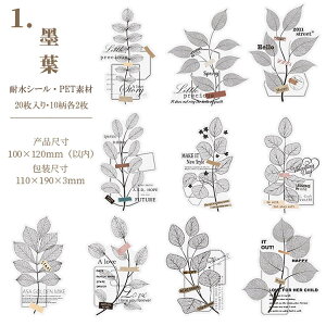 o NAV[ [WTCY 傫 CO R[W f  t t V[ PETf 20 XNbvubLO fR[V  V[ H G hC t u