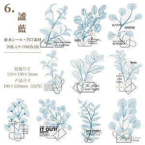 o NAV[ [WTCY 傫 CO R[W f  t t V[ PETf 20 XNbvubLO fR[V  V[ H G hC t u