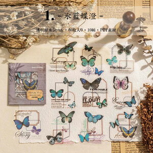 o NAV[ t[NV[ R[W f  p [X t[ g COV[ V[ fR[V o^tC 30 PET ϐ _CJbg V[ WNW[i 