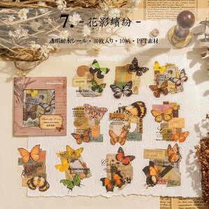 o NAV[ t[NV[ R[W f  p [X t[ g COV[ V[ fR[V o^tC 30 PET ϐ _CJbg V[ WNW[i 