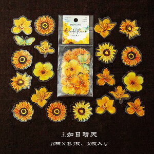 o  ؂₩ Ԃт ԕ ϐ NAV[ 30 傫 R[W f  KN [Y t[NV[ WNW[i fR[V 蒠 V[ PET  ϐ 