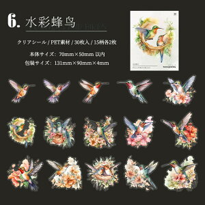 o COXebJ[  ԕ NAV[ R[W f Zbg 30 V[ N₩ XNbvubLO PETf ϐ t~S Mђ  CR IjIInV n`h 