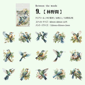 o COXebJ[  ԕ NAV[ R[W f Zbg 30 V[ N₩ XNbvubLO PETf ϐ t~S Mђ  CR IjIInV n`h 