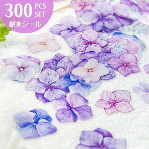 o 300150 R[Wf Zbg [Y q} ԂтV[ ԕ ԕV[  `   KN O NAV[ PET V[ ϐ _CJbgV[ Ԗ