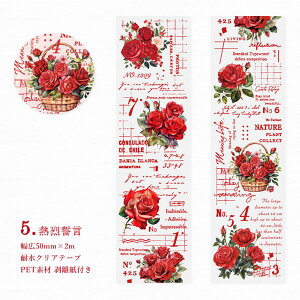 [ NAe[v L50mm Ch^Cv CO R[W f e[v  ԕ [Y KN p   o e[v PETf ϐ  F IW sN F F zCg  R