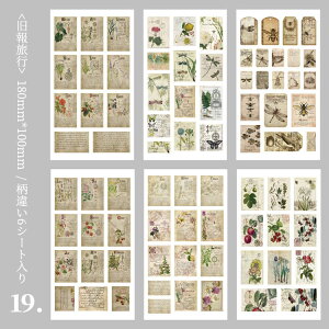 o Jbg V[V[g 6 ^ R[g XebJ[ R[W f l l ̎q q ԕ A   G  Ƌ 蕨 [ ϕi p p AJ 