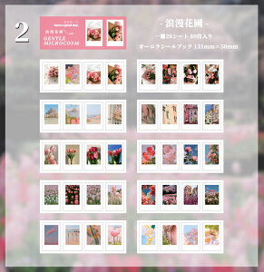 o I[ V[ubN ^ 8020V[g CO R[W f e R[Wf Zbg CX^ V[ ʐ^ i ̖͗l   XebJ[ I[ 