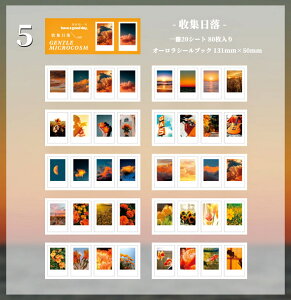 o I[ V[ubN ^ 8020V[g CO R[W f e R[Wf Zbg CX^ V[ ʐ^ i ̖͗l   XebJ[ I[ 