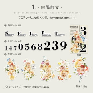 o R[W V[ [WTCY 傫  ԕ  p }XeV[ R[W f V[ COV[ l 킢 KN [Y A _ z XNbvubLO 